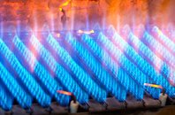 Willsbridge gas fired boilers